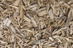 biomass boilers Carlingcott