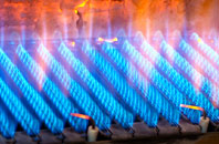 Carlingcott gas fired boilers